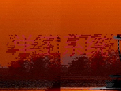 学工系统