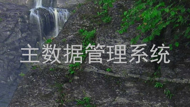 主数据管理系统