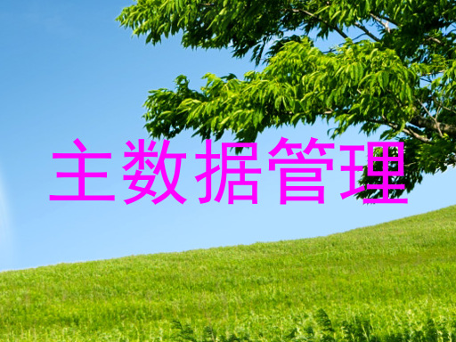 主数据管理