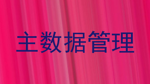 主数据管理