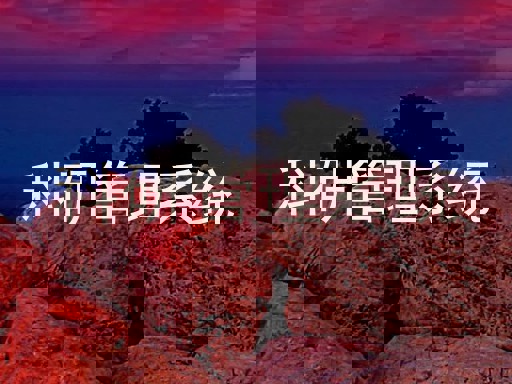 科研管理系统