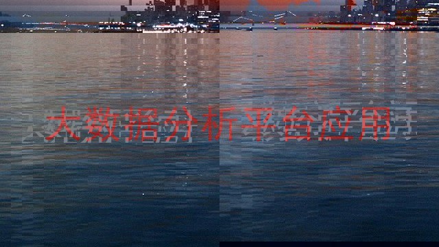 大数据分析平台应用