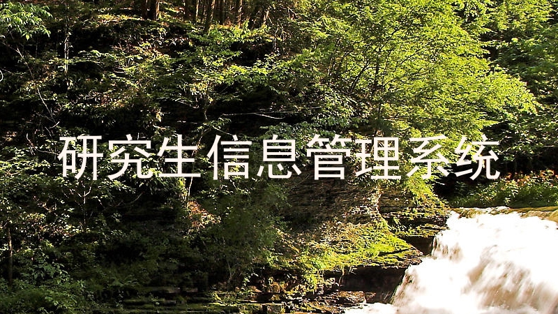 研究生信息管理系统
