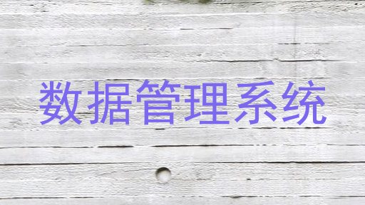数据管理系统