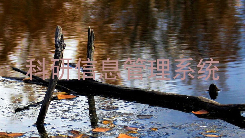 科研信息管理系统