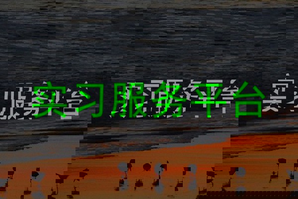实习服务平台