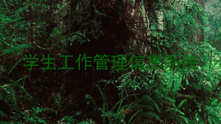 学生工作管理信息系统