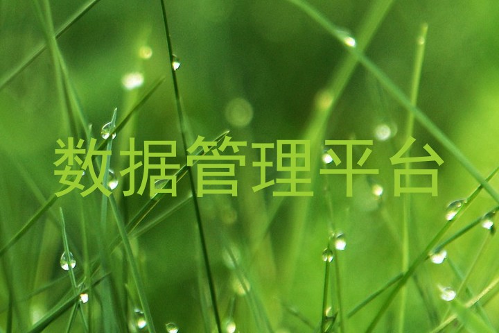 数据管理平台