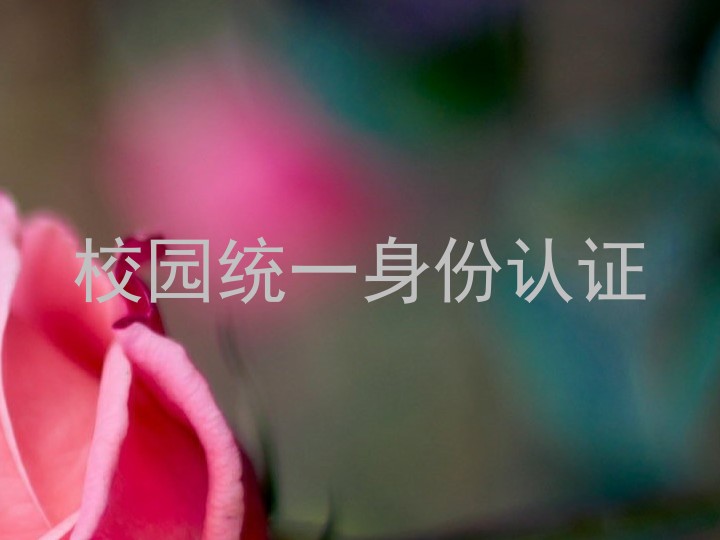 校园统一身份认证