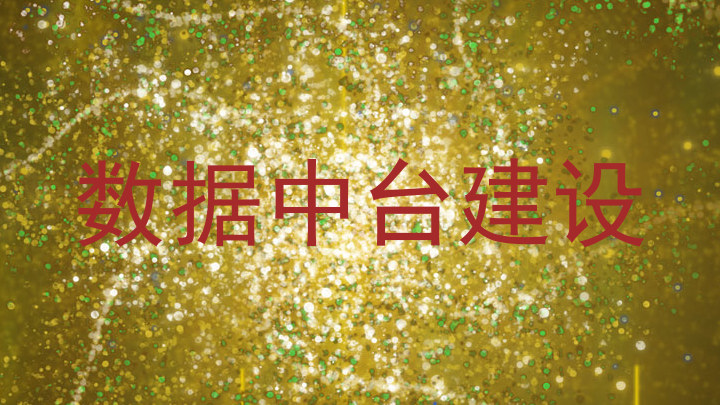 数据中台建设