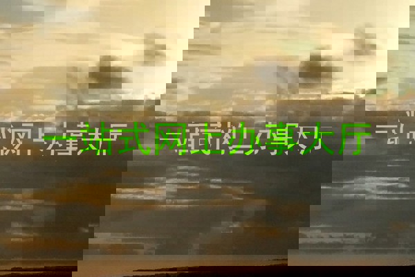 一站式网上办事大厅