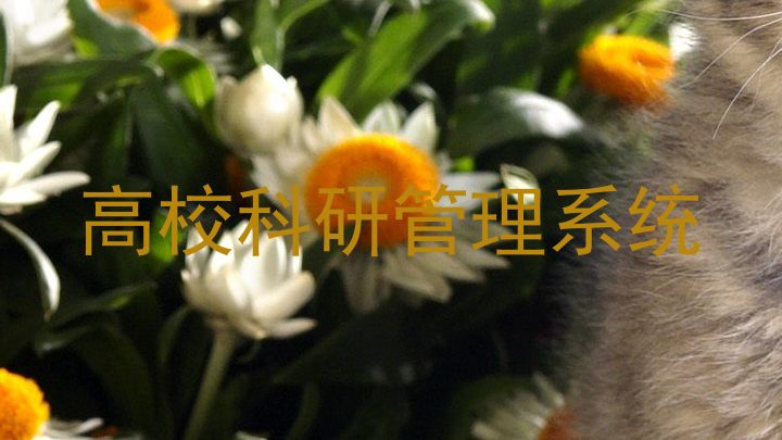 高校科研管理系统