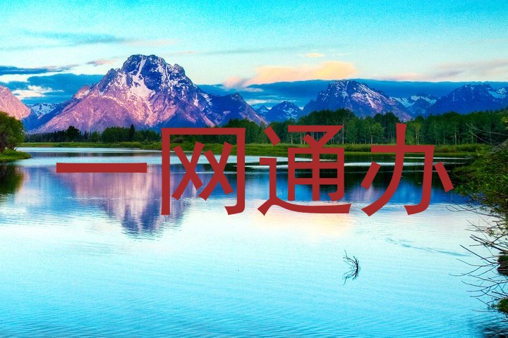一网通办
