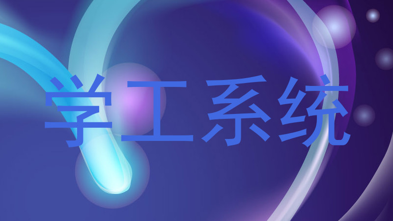 学工系统