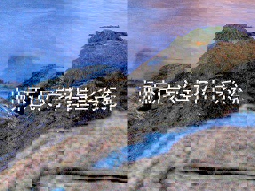 师范大学招生系统
