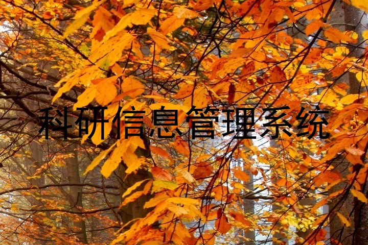 科研信息管理系统