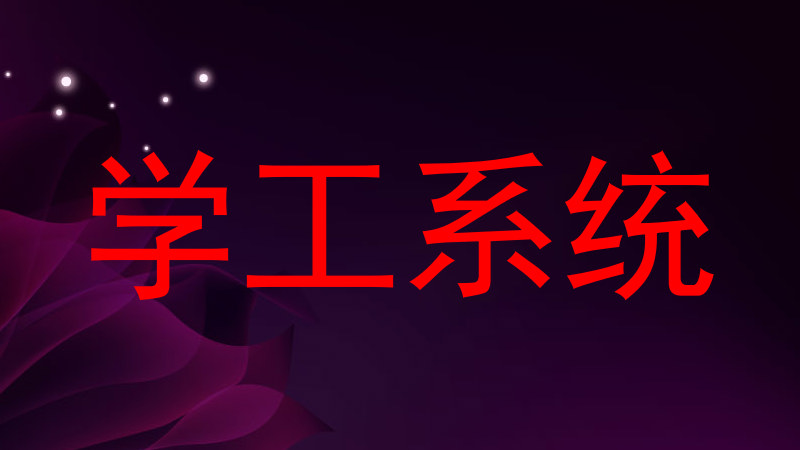 学工系统
