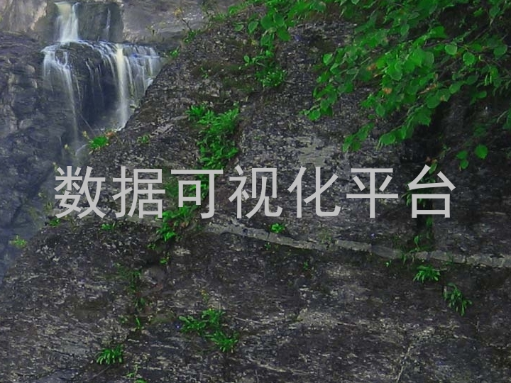 数据可视化平台