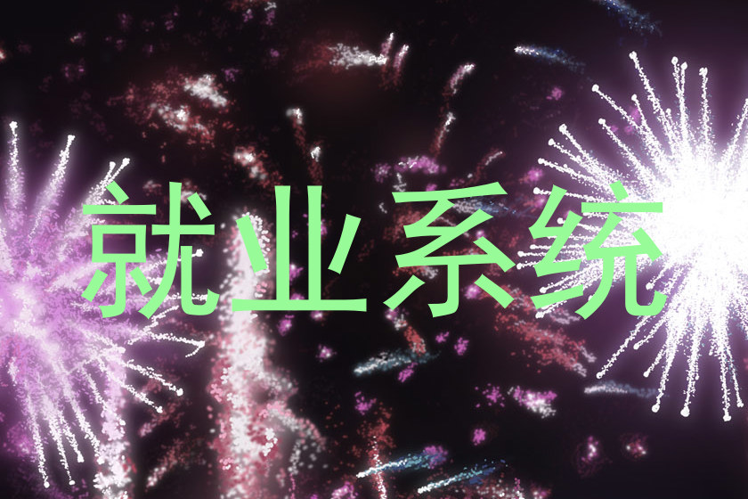 就业系统