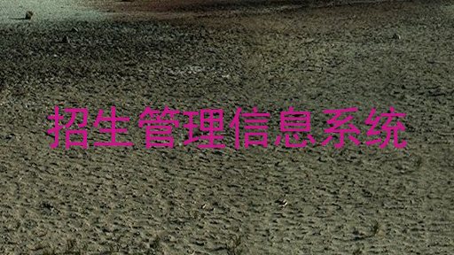 招生管理信息系统