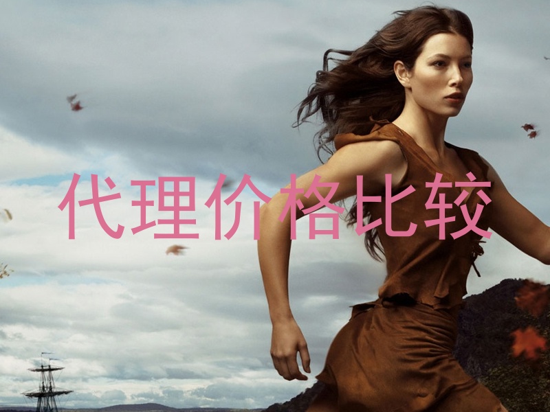 代理价格比较