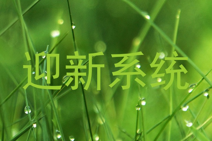 迎新系统