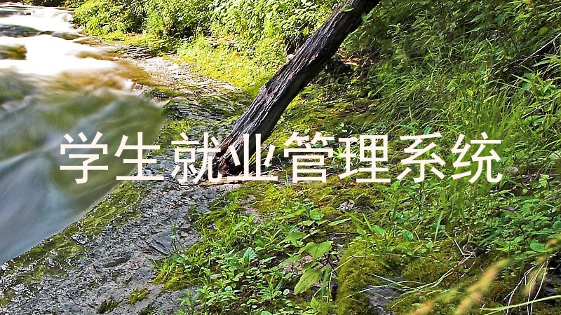 学生就业管理系统