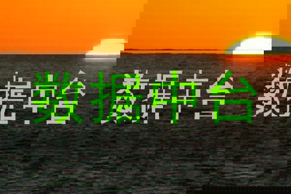 数据中台