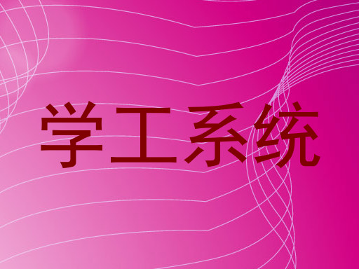 学工系统