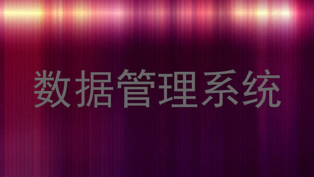 数据管理系统
