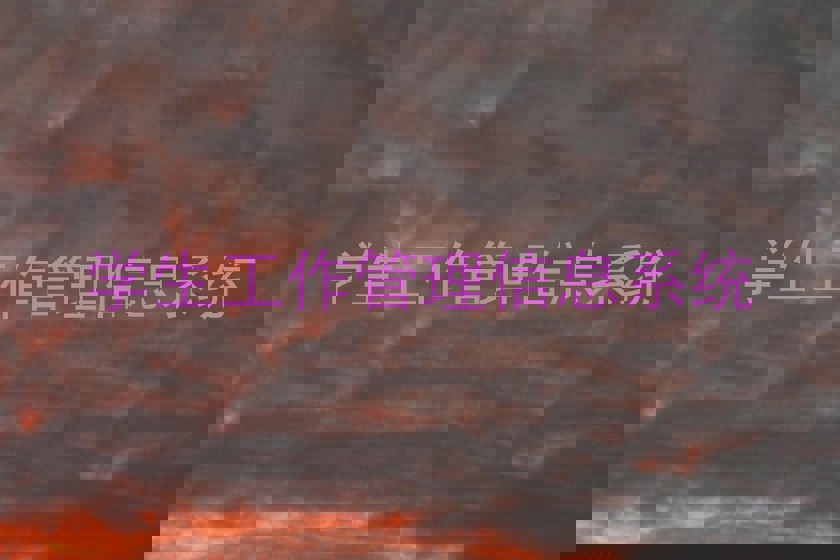 学生工作管理信息系统