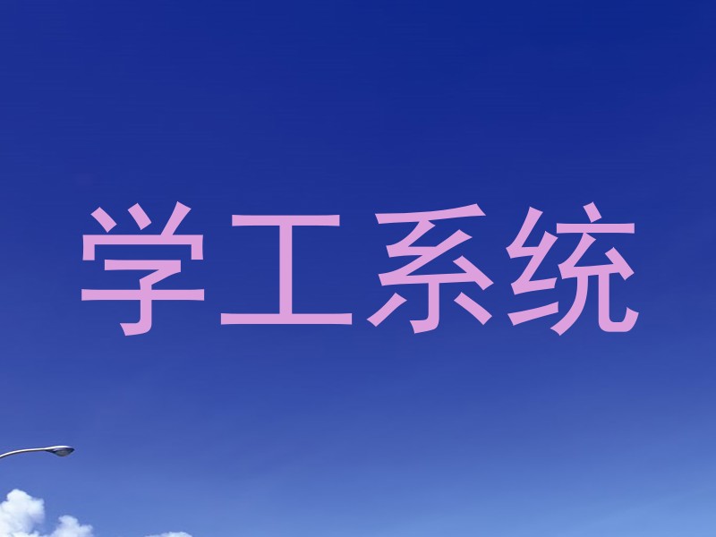 学工系统