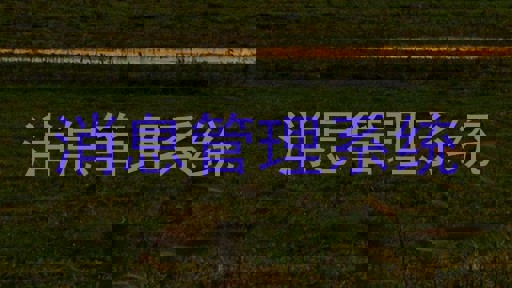 消息管理系统