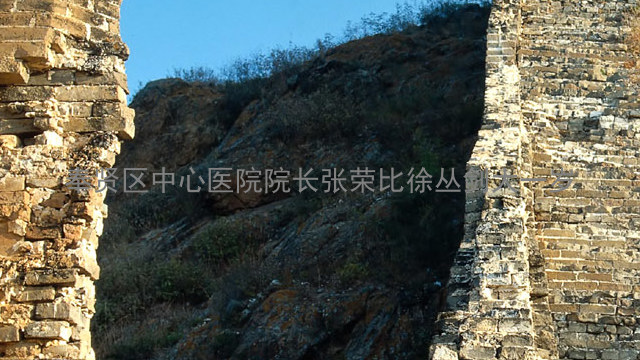 奉贤区中心医院院长张荣比徐丛剑大一岁