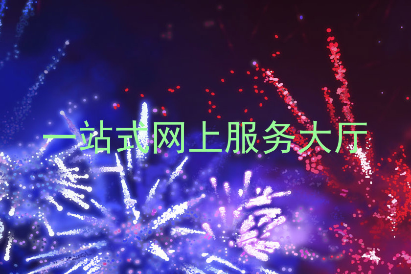 一站式网上服务大厅