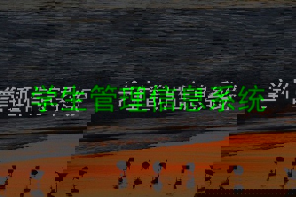 学生管理信息系统