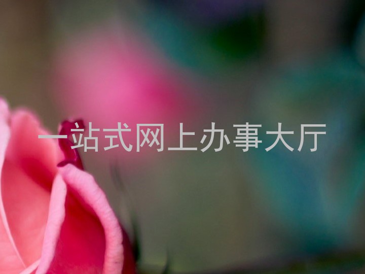 一站式网上办事大厅