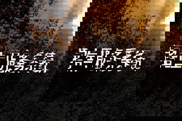 招生服务系统