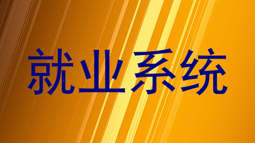 就业系统