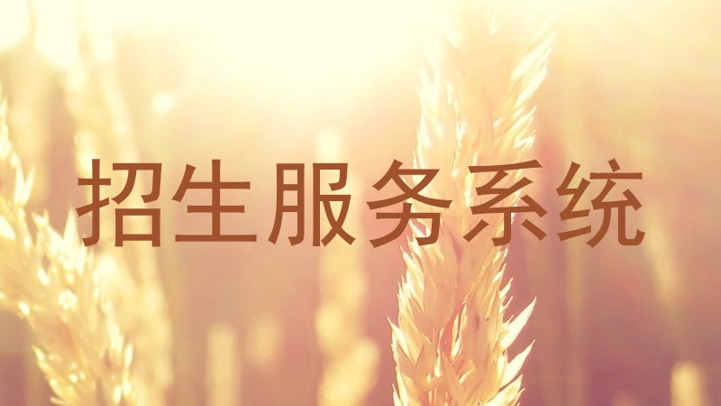招生服务系统
