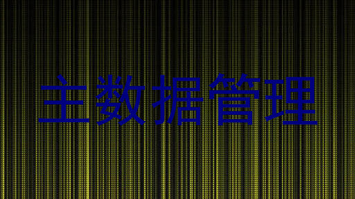 主数据管理