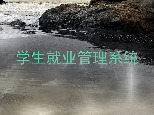 学生就业管理系统