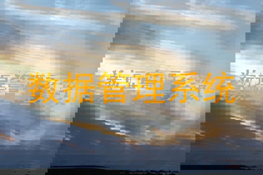 数据管理系统