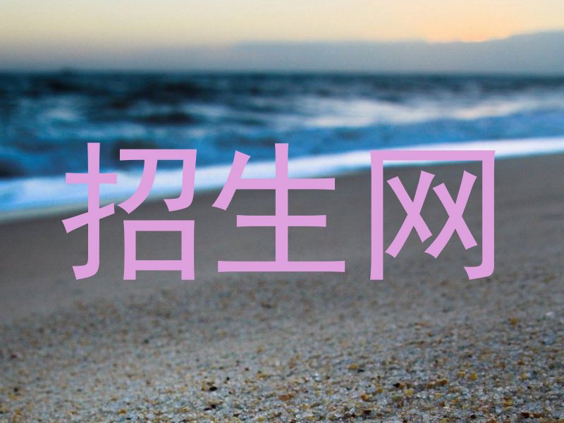 招生网