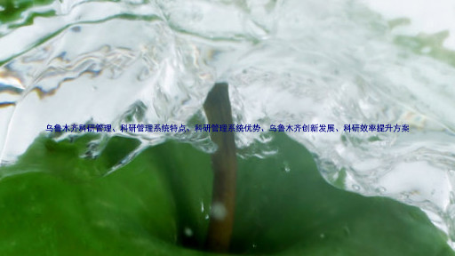 乌鲁木齐科研管理、科研管理系统特点、科研管理系统优势、乌鲁木齐创新发展、科研效率提升方案