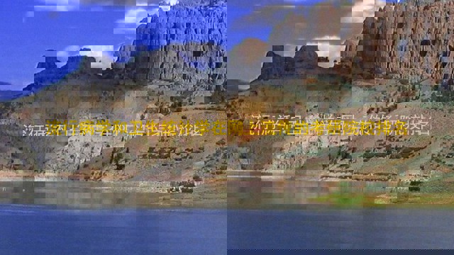 流行病学和卫生统计学在网上流传的考研院校排名