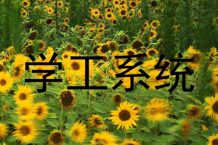 学工系统