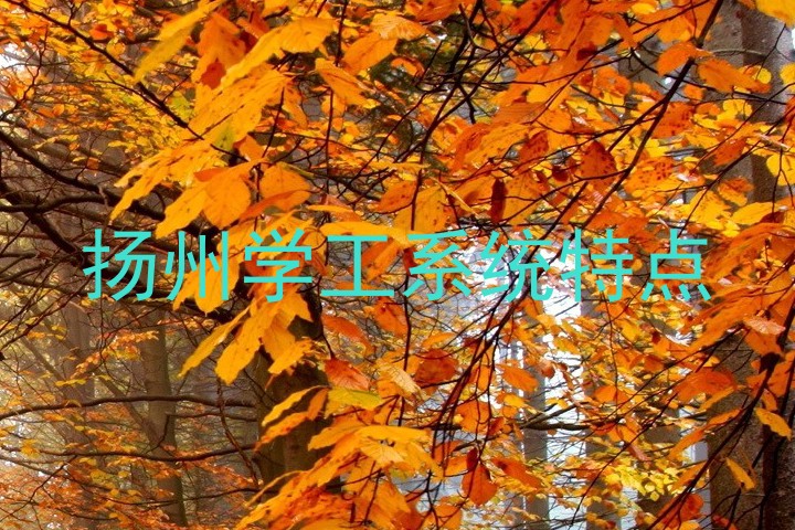 扬州学工系统特点
