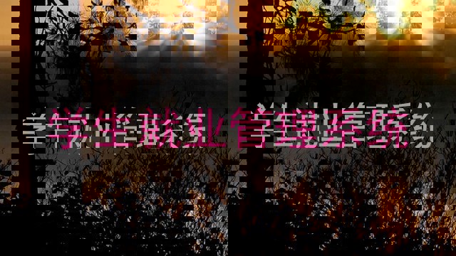 学生就业管理系统