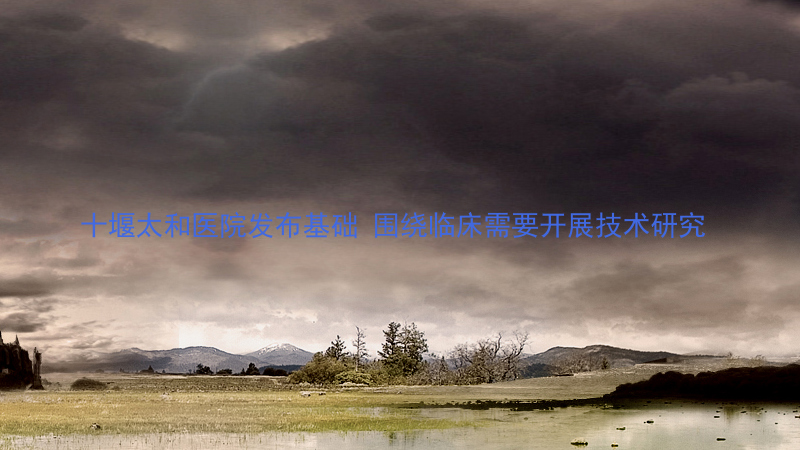 十堰太和医院发布基础 围绕临床需要开展技术研究